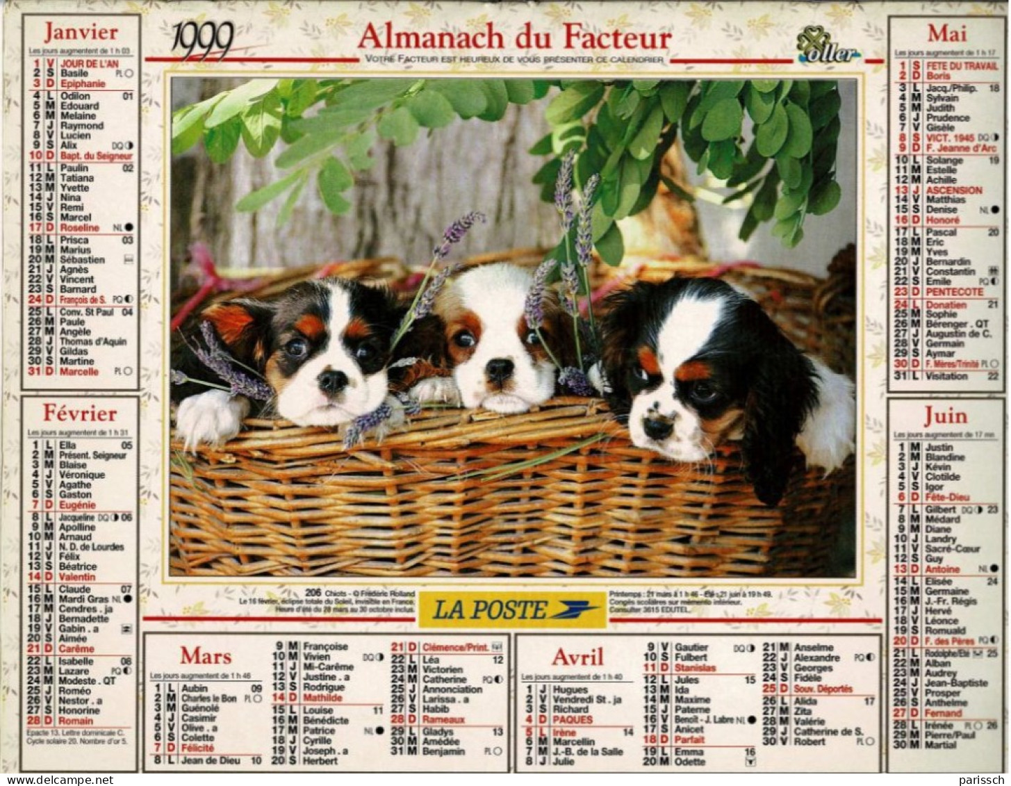 Calendrier Des Postes 1999 - Chiots King Charles - Chatons  - Panier Osier, Fleurs - Grossformat : 1991-00