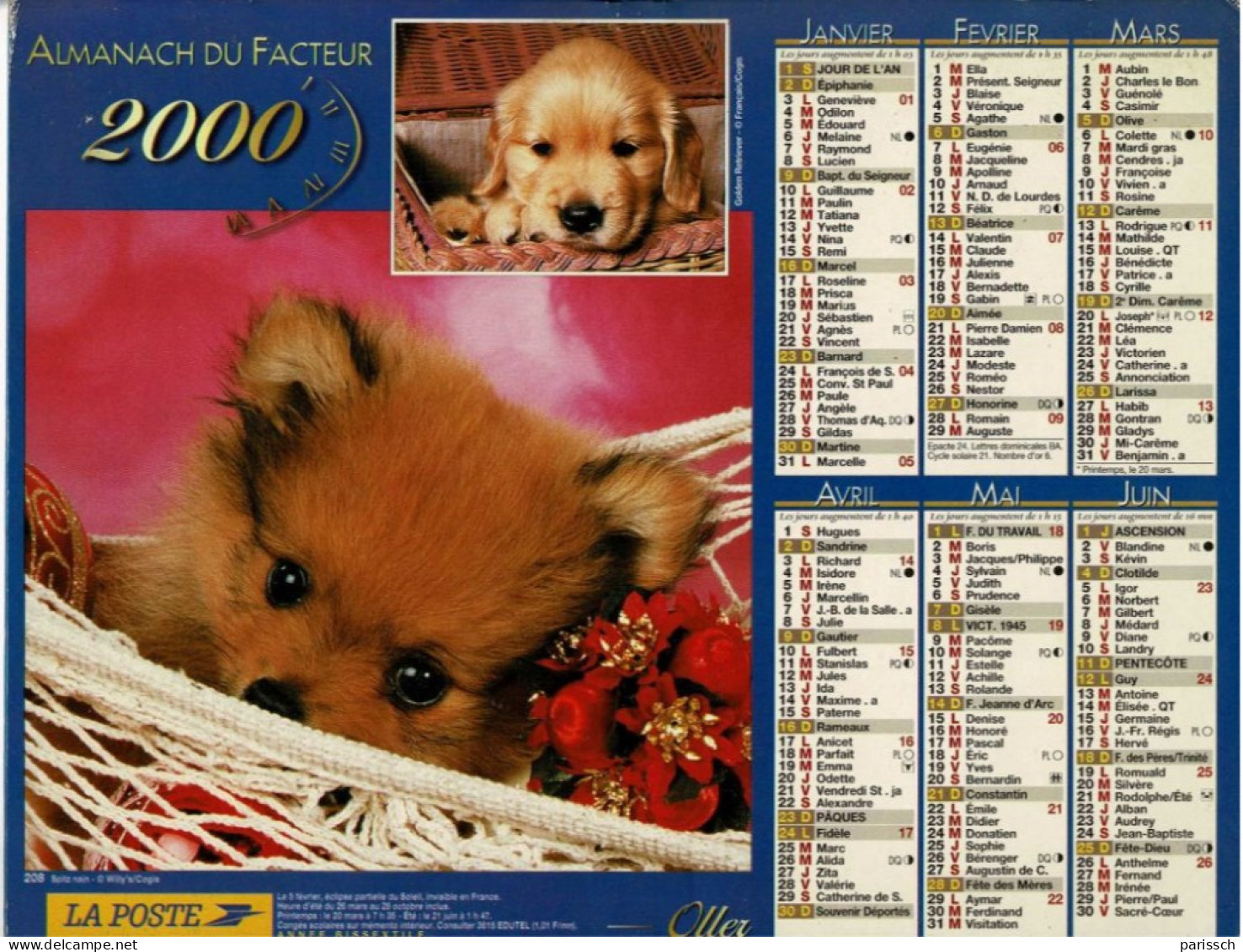 Calendrier Des Postes 2000 - Chiot Spitz Nain, Golden Retriever, Caniche, Yorkshire - Fauteuil, Panier, Osier Et Macramé - Grossformat : 1991-00