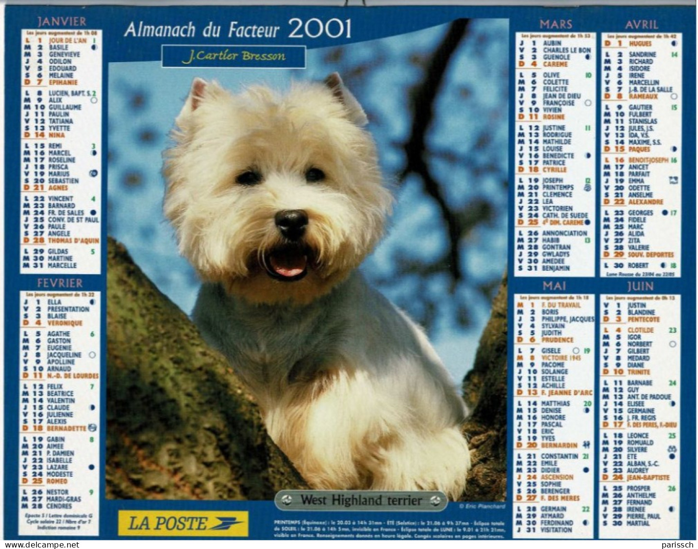 Calendrier Des Postes 2001 - West Highland Terrier Sur Arbre, Yorkshire - Noeud Jaune - Grand Format : 2001-...