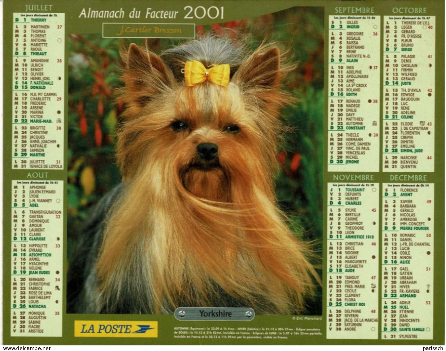 Calendrier Des Postes 2001 - West Highland Terrier Sur Arbre, Yorkshire - Noeud Jaune - Grand Format : 2001-...