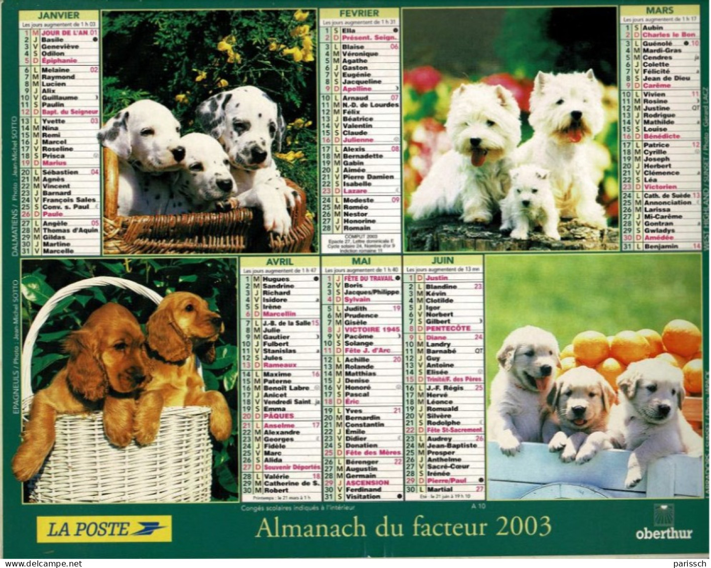 Calendrier Des Postes 2003 - Dalmatiens Dans Panier, West Highland, Epagneuls, Labradors, Chatons, Poussin, Fleurs - Grand Format : 2001-...