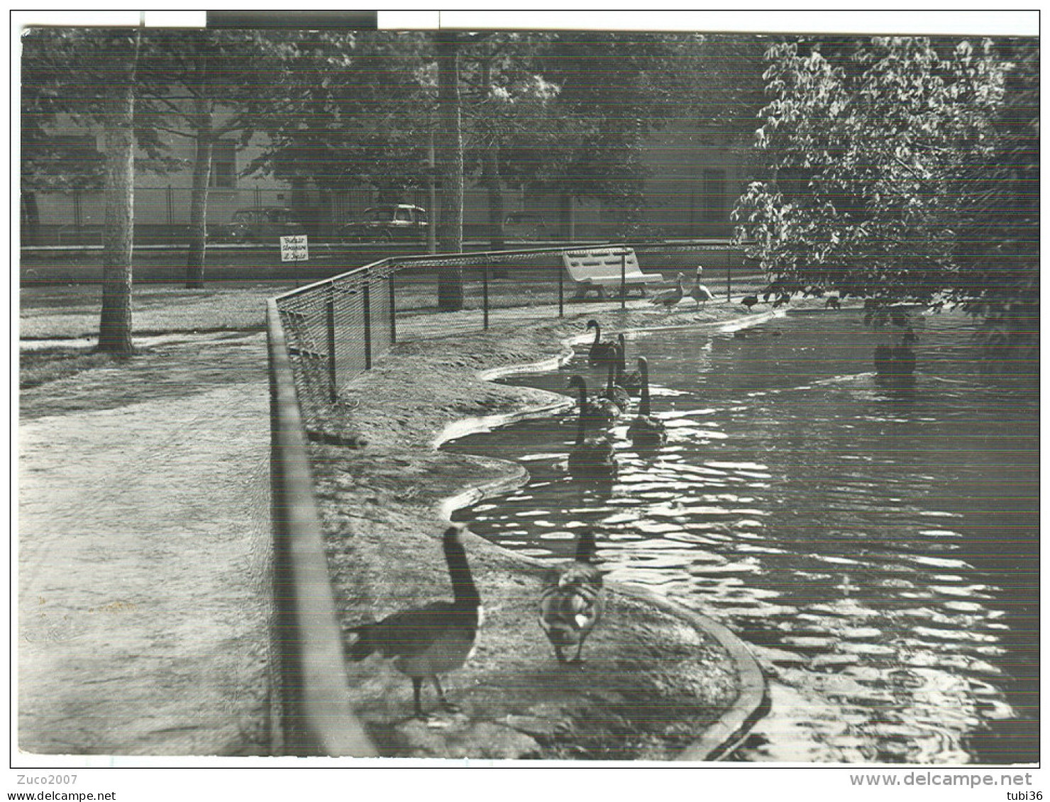 FAENZA, GIARDINO ZOOLOGICO, B/N VIAGGIATA  1966,TIMBRO POSTE FAENZA, - Faenza