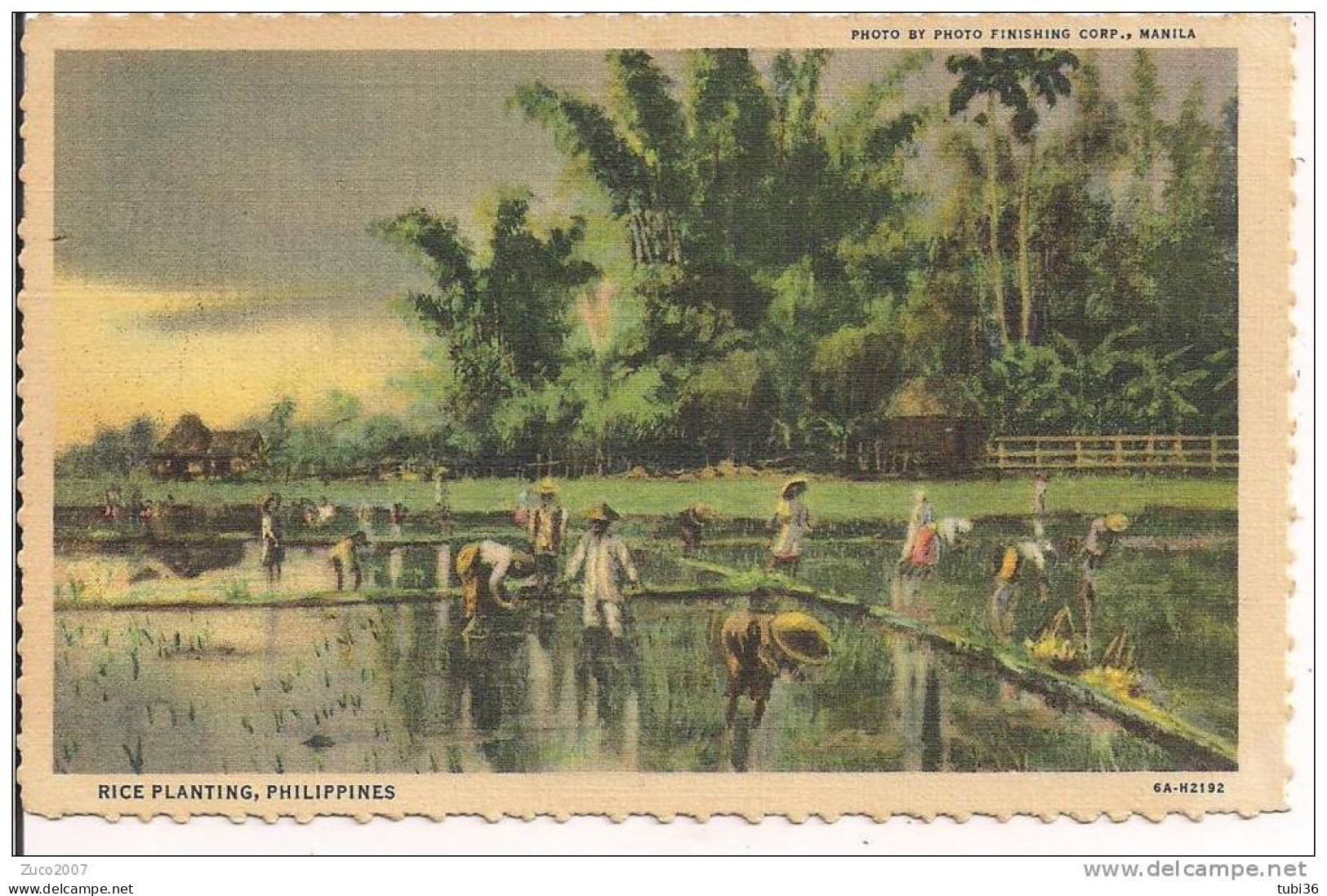 PHILIPPINES, RICE PLANTING, COLORI VIAGGIATA IN BUSTA 1950, FORMATO PICCOLO 9 X 14, - Philippines