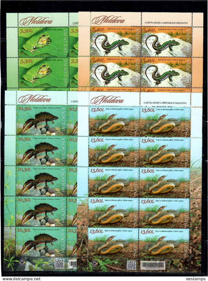 Moldova 2023 . Fauna. Reptiles And Amphibians. Frog. Lizard. Triton. Snake. 4 M/S Of 10 - Moldavie