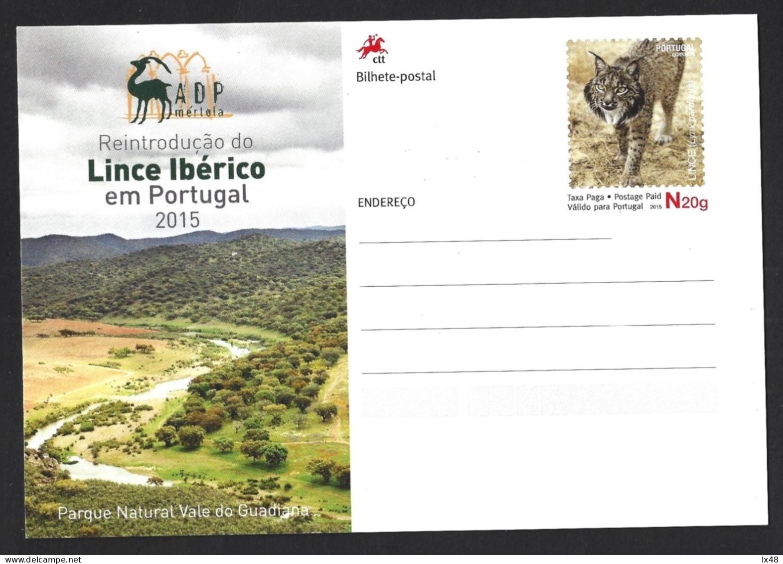 Postcard From Iberian Lynx. Lynx Pardinus. Guadiana Valley National Park. Postkarte Vom Iberischen Luchs. Iberian Ilves. - Other & Unclassified