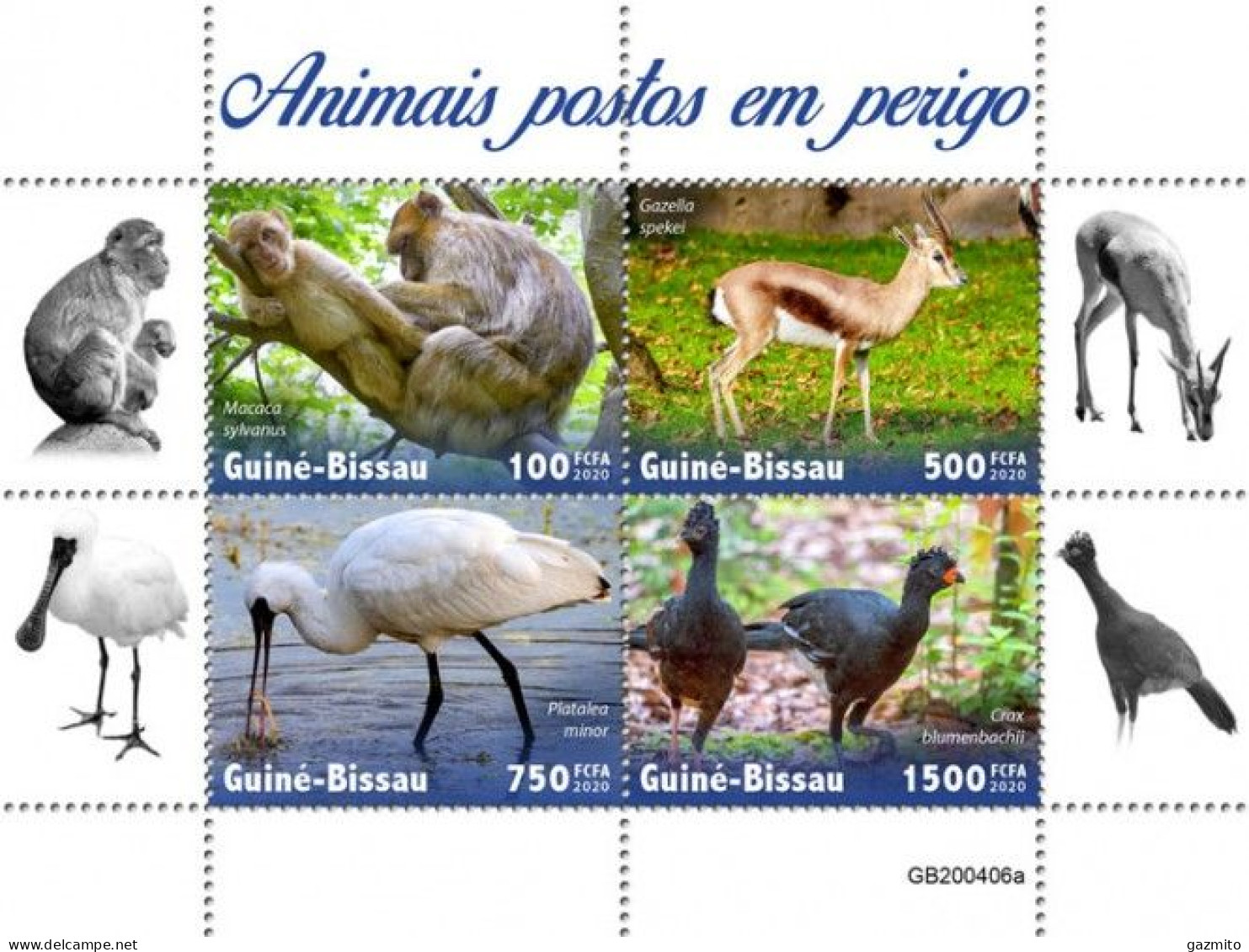 Guinea Bissau 2020, Animals In Danger, Monkey, Bird, Gazelle, BF - Marine Web-footed Birds