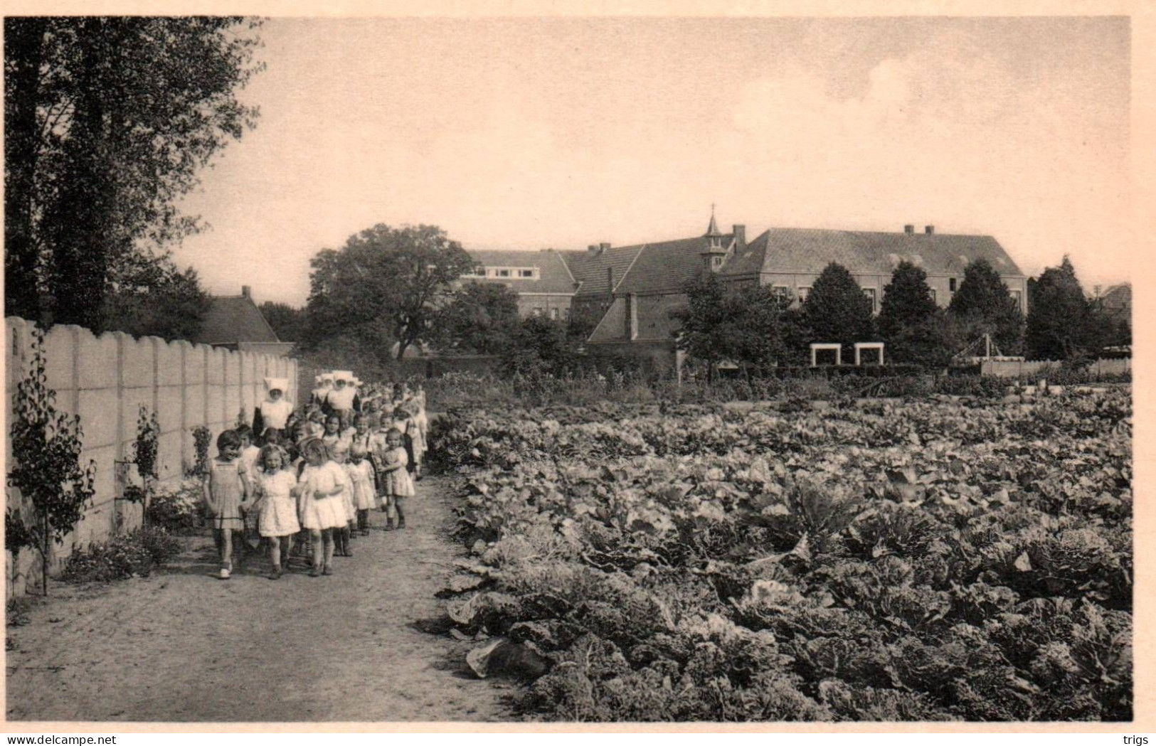 Ravels (O. L. Vrouw Van De Kempen) - Openluchtschool Voor Zwakke Meisjes, Al Wandelend Door De Moestuin - Ravels