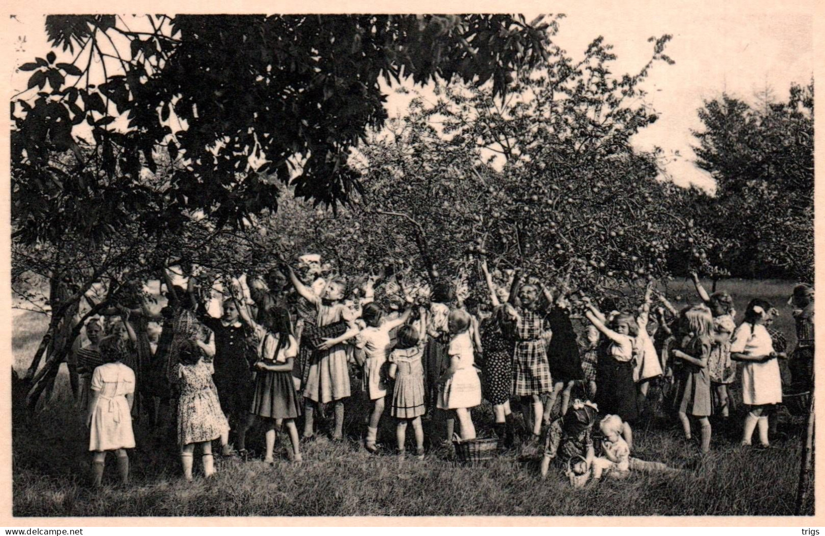 Ravels (O. L. Vrouw Van De Kempen) - Openluchtschool Voor Zwakke Meisjes, Aangename Verposing In De Fruithof - Ravels