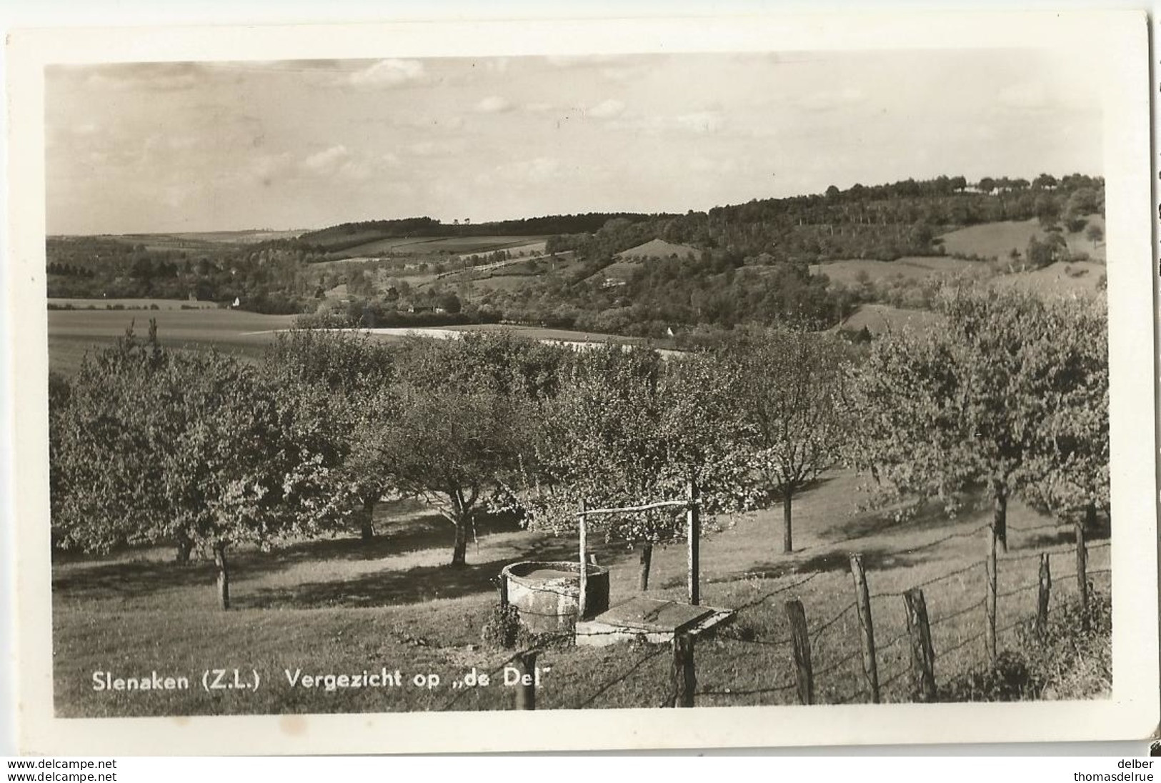 8Eb-835: Slenaken (Z.L.) Vergezicht Op " De Del" 1955 - Slenaken