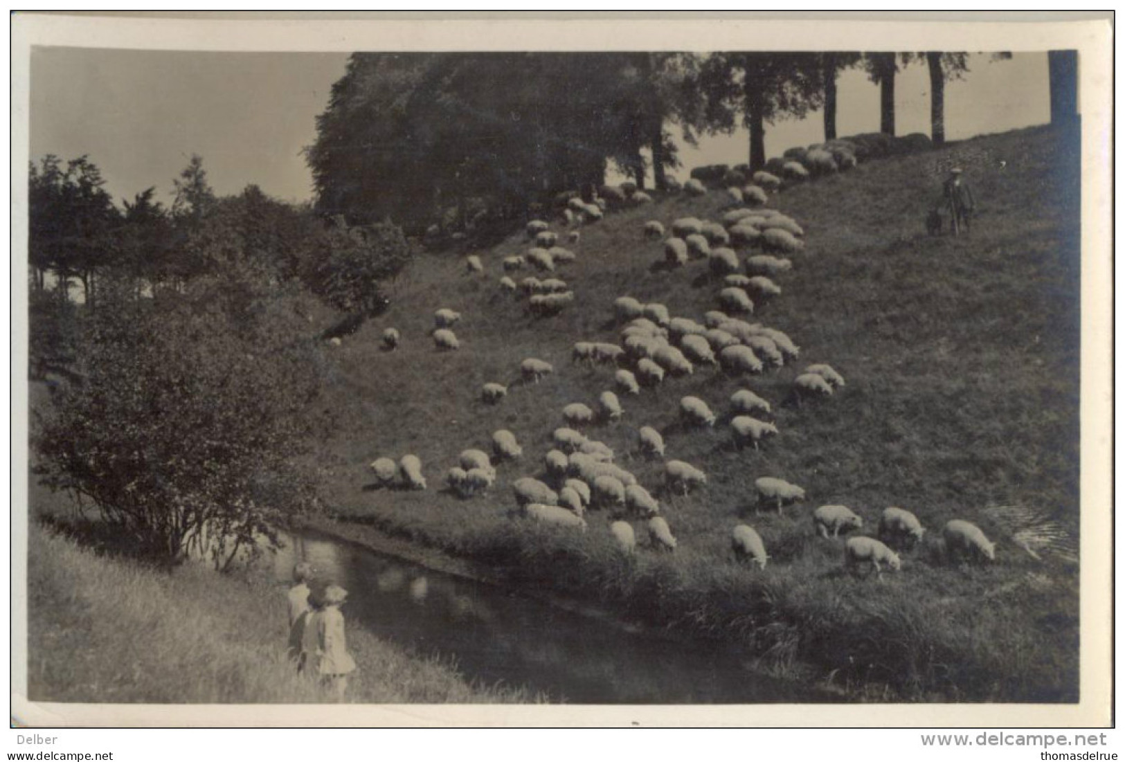 4cp-341 : Aan De Zoom - Bergen-op Zoom  1938 - Bergen Op Zoom