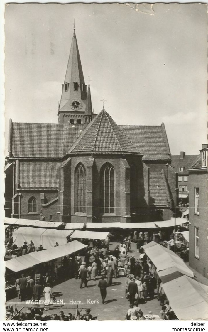 8Eb-778:  WAGENINGEN Herv. Kerk  . 1966.. - Wageningen