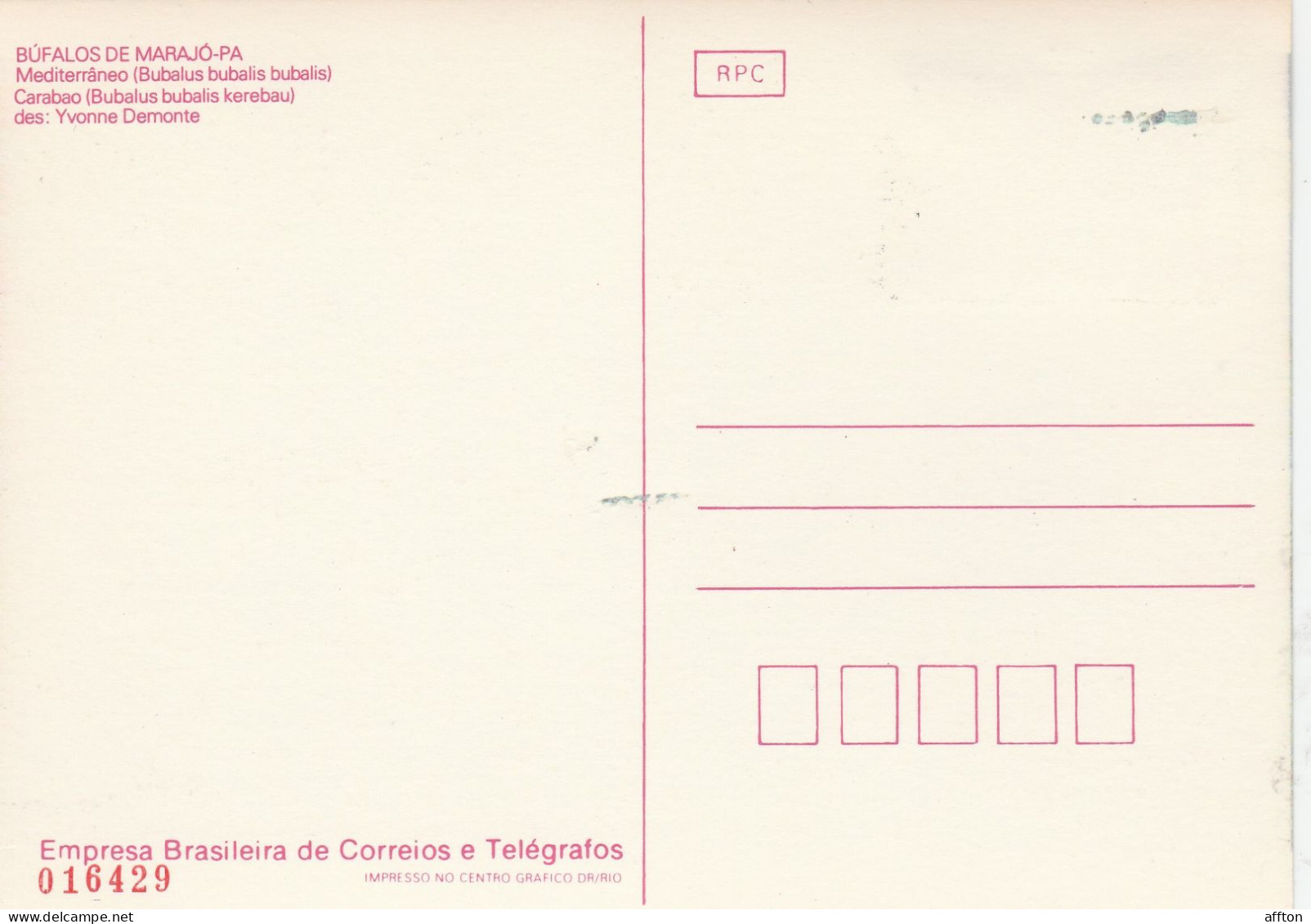 Brazil Maximum Card - Cartoline Maximum