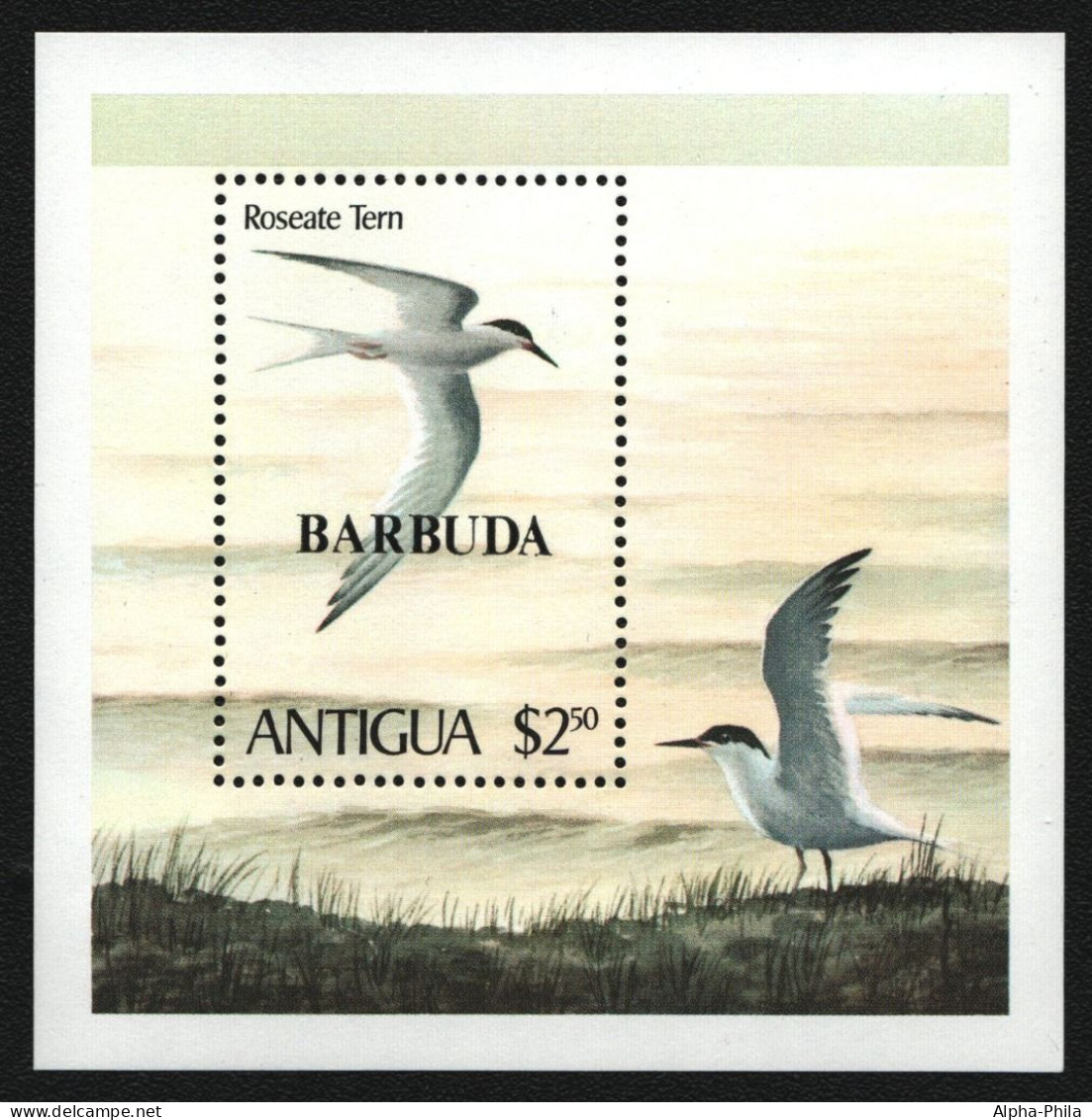 Barbuda 1980 - Mi-Nr. Block 54 ** - MNH - Vögel / Birds - Barbuda (...-1981)