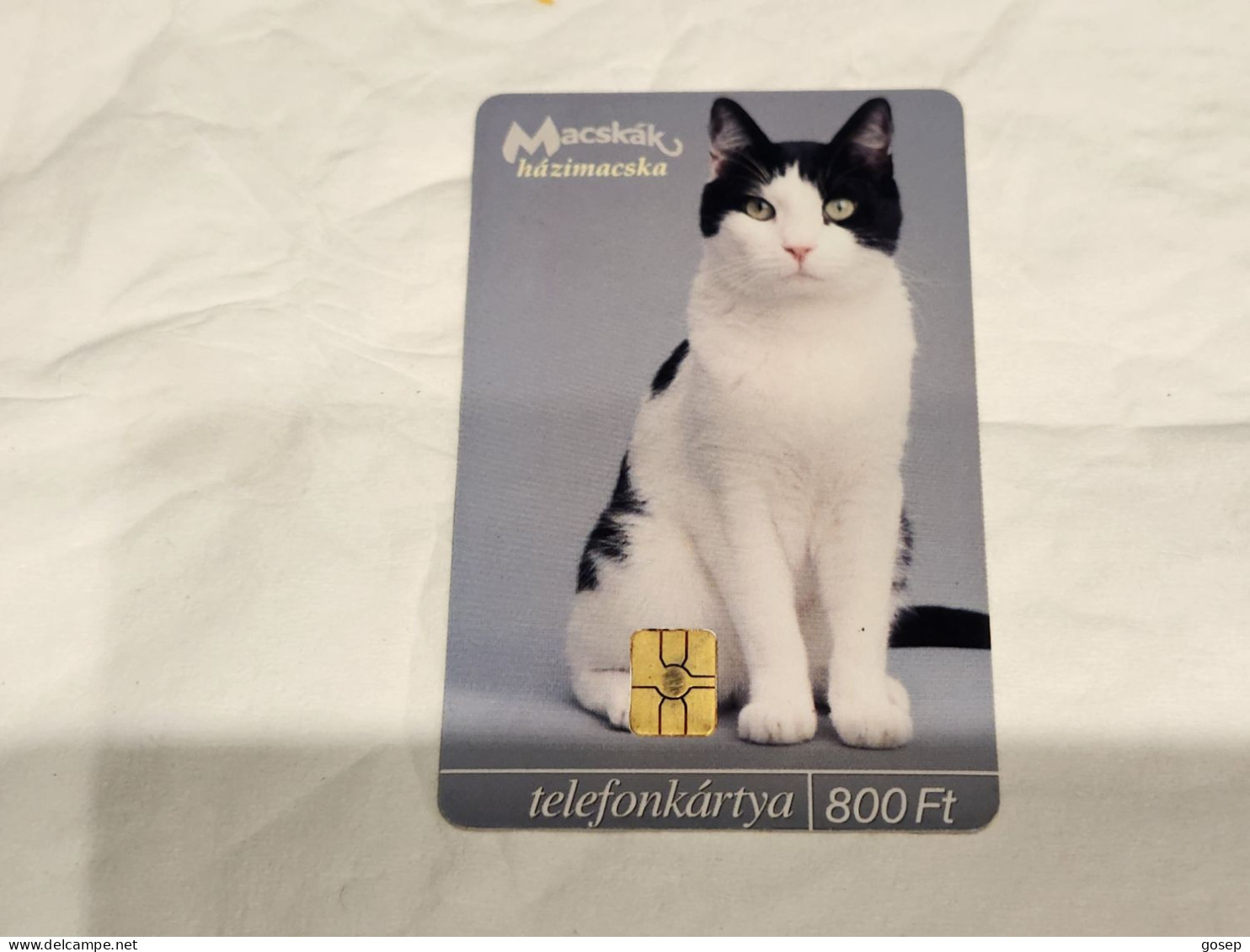 HUNGARY-(HU-P-2003-35)-Macskák: Házimacska Cat-(6)(800ft)(33617A217)(tirage-50.000)-used,card+1card Prepiad Free - Ungarn