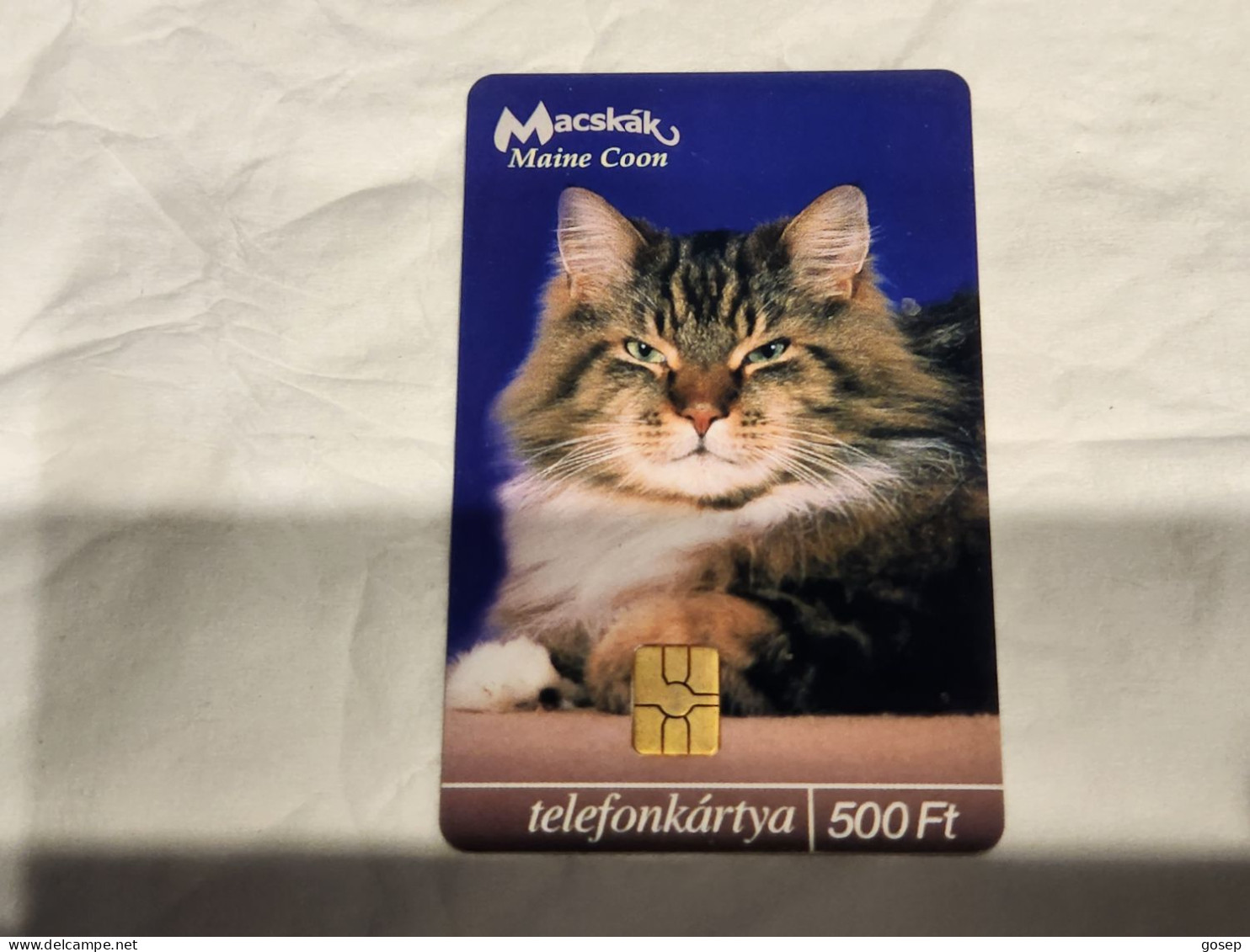 HUNGARY-(HU-P-2003-44)-Macskák-Maine Coon Cat-(7)(500ft)(3372F9DFF)(tirage-100.000)-used,card+1card Prepiad Free - Ungarn