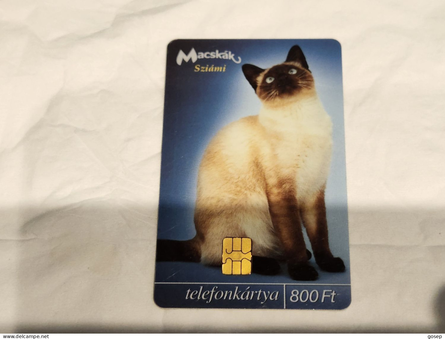 HUNGARY-(HU-P-2003-45)-Macskák-Sziámi Cat-(10)(800ft)(C361FBADA)(tirage-50.000)-used,card+1card Prepiad Free - Ungarn