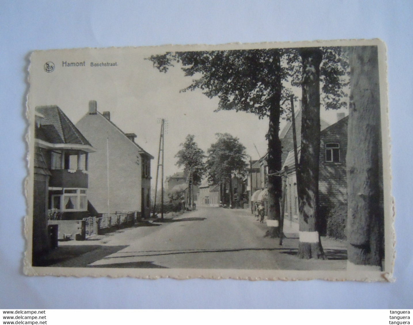 Hamont Boschstraat Bosstraat Gelopen Uitgever: Stevens - Hamont-Achel