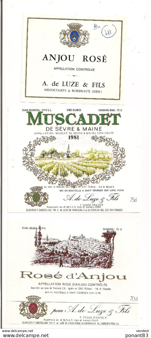 3 Etiquettes  Anjou Rosé Et Muscadet De Sèvre Et Maine 1981 - A.de Luze & Fils - - Rosé (Schillerwein)