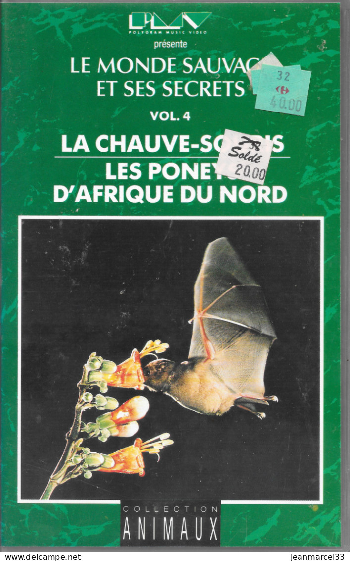 K7 VHS La Chauve-Souris Et Les Ponets D'Afrique Du Nord - Dokumentarfilme