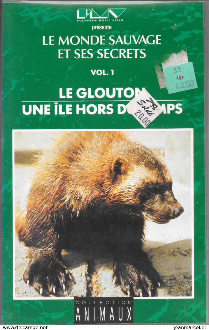 K7 VHS  Le Glouton, Une Ile Hors Du Temps (olympic Peninsula) - Documentaire
