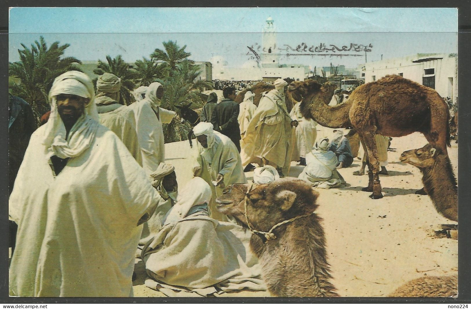 Carte P De 1970 ( El Oued / Le Souk Aux Chameaux ) - El-Oued