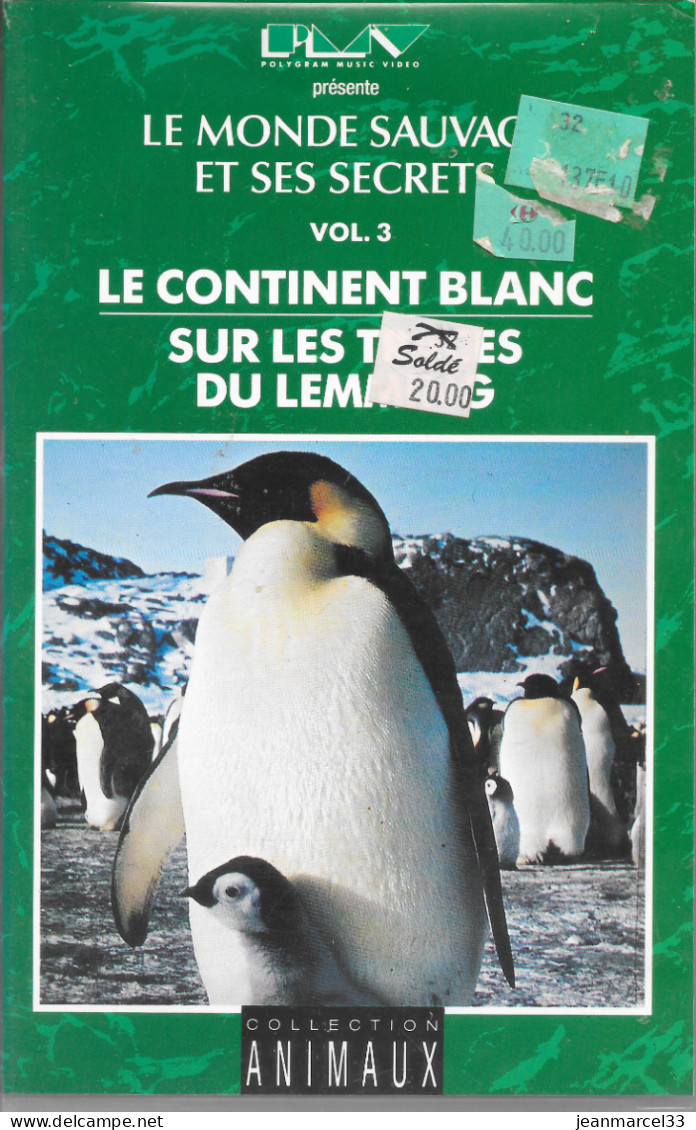 K7 VHS  Le Continent Blanc, Sur Les Traces Du Lemming - Documentaires