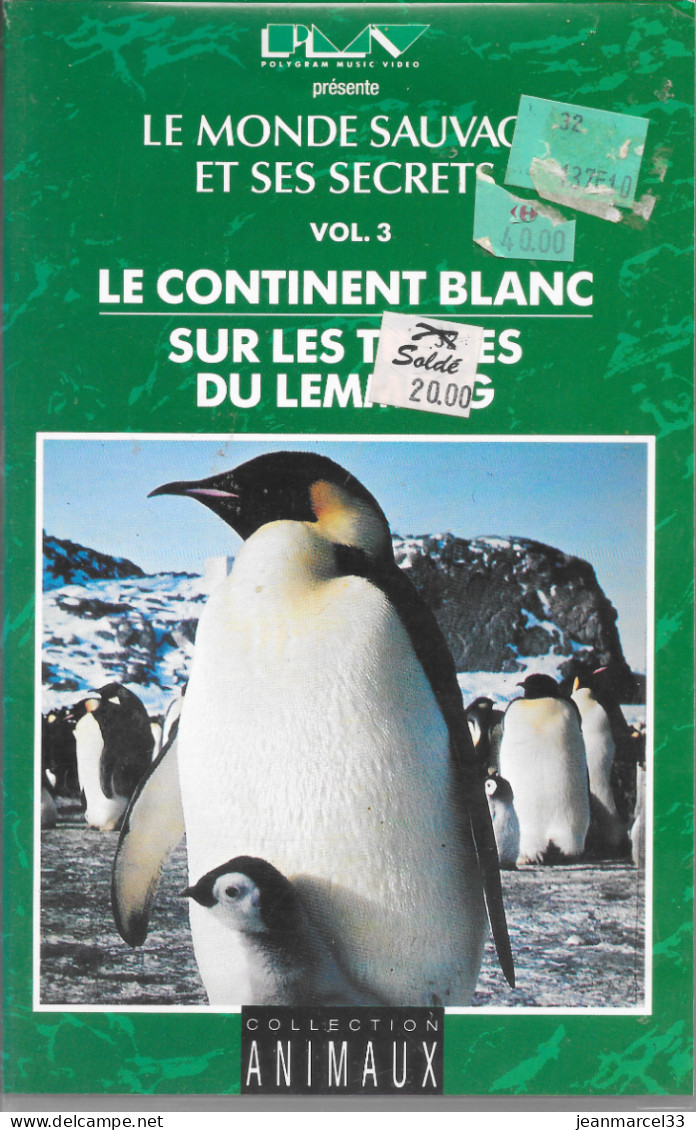 K7 VHS  Le Continent Blanc, Sur Les Traces Du Lemming - Documentaire