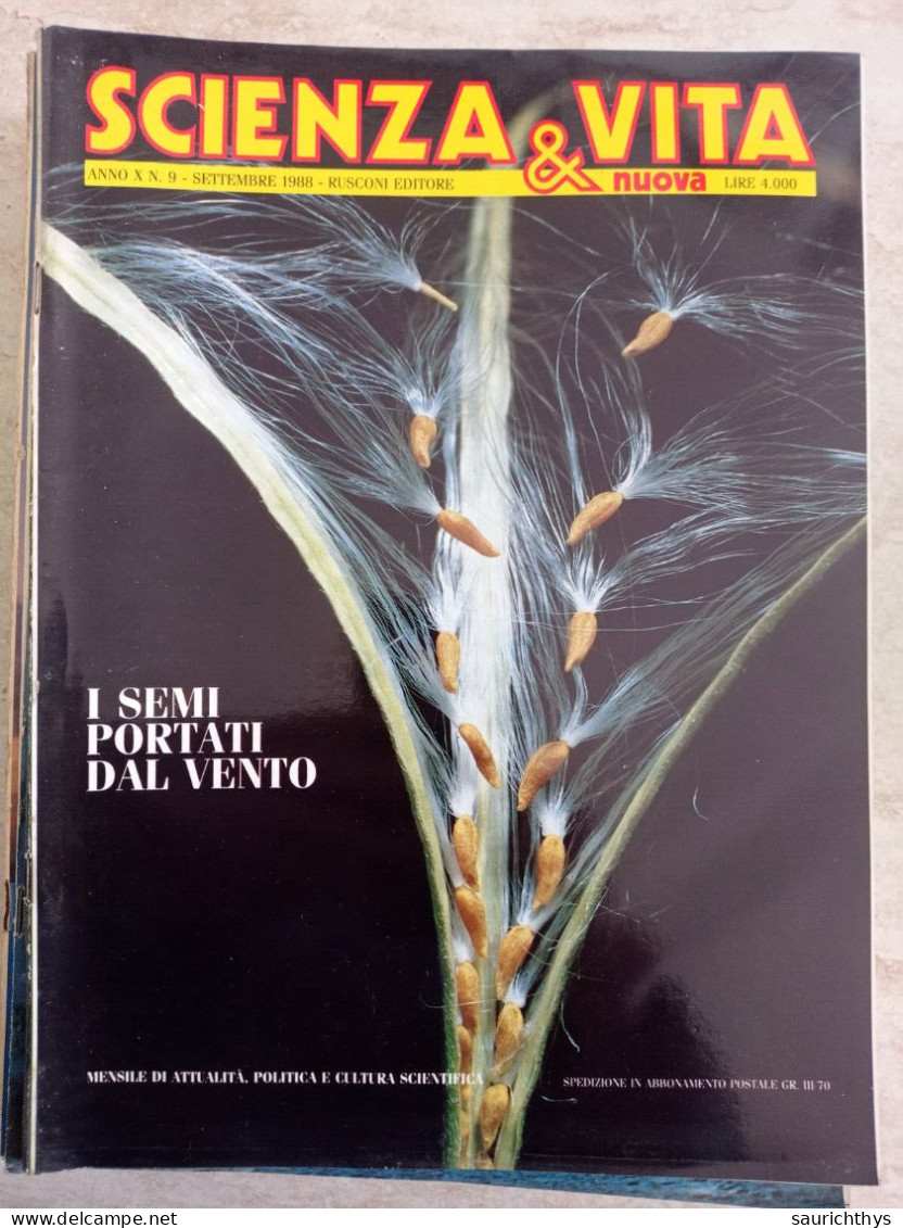 Lotto 12 Riviste Scienza E Vita Rusconi Editore + Le Scienze - Textos Científicos