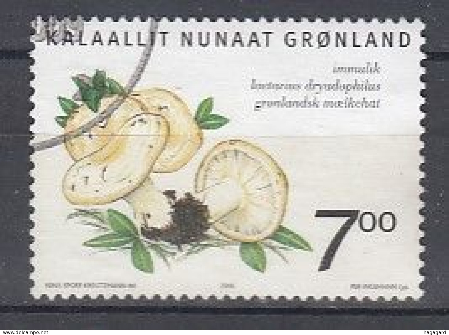 Greenland 2006. Champignon. Michel 465. Used - Oblitérés