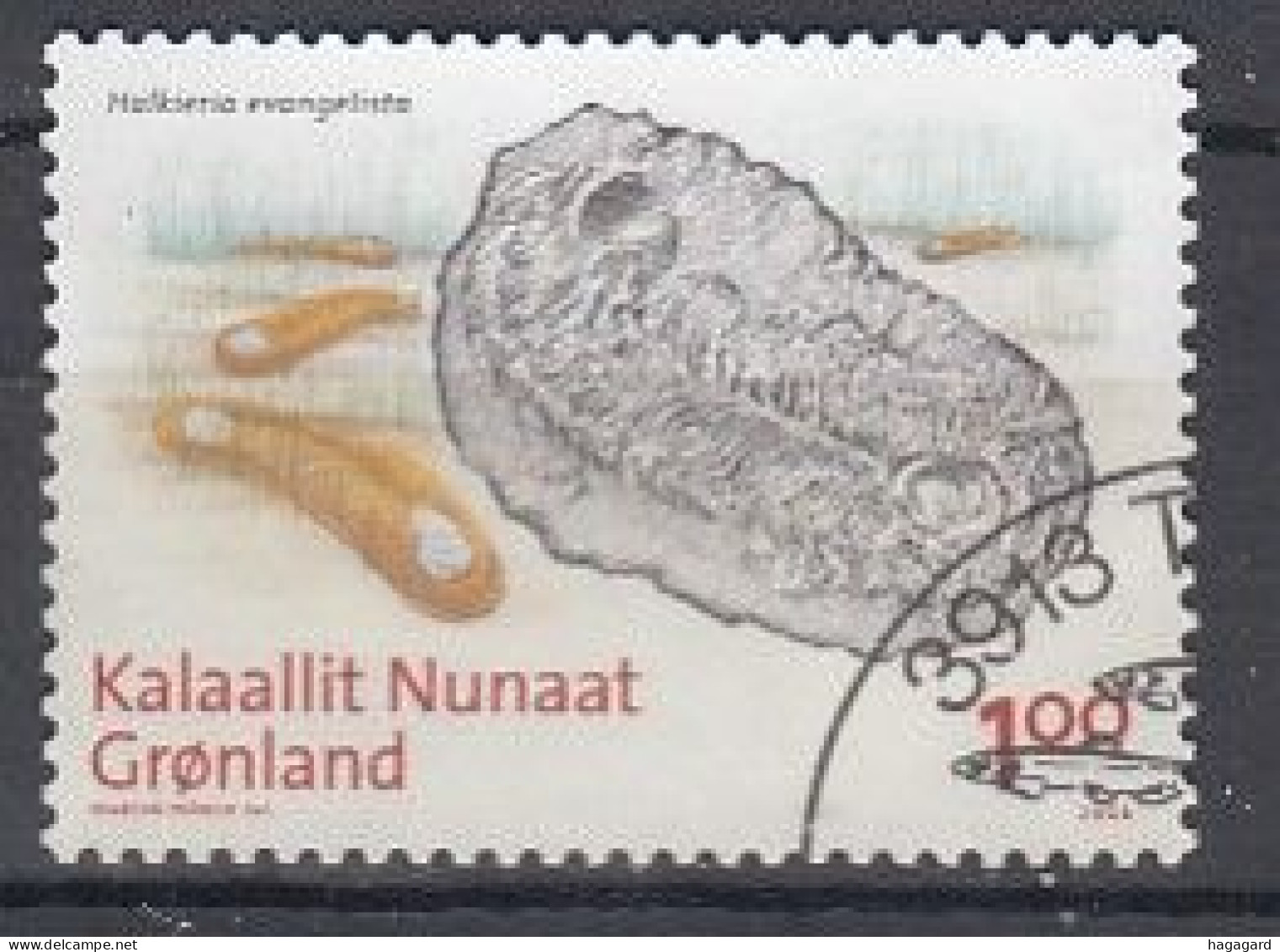 Greenland 2008. Fossils. Michel 512. Used - Used Stamps