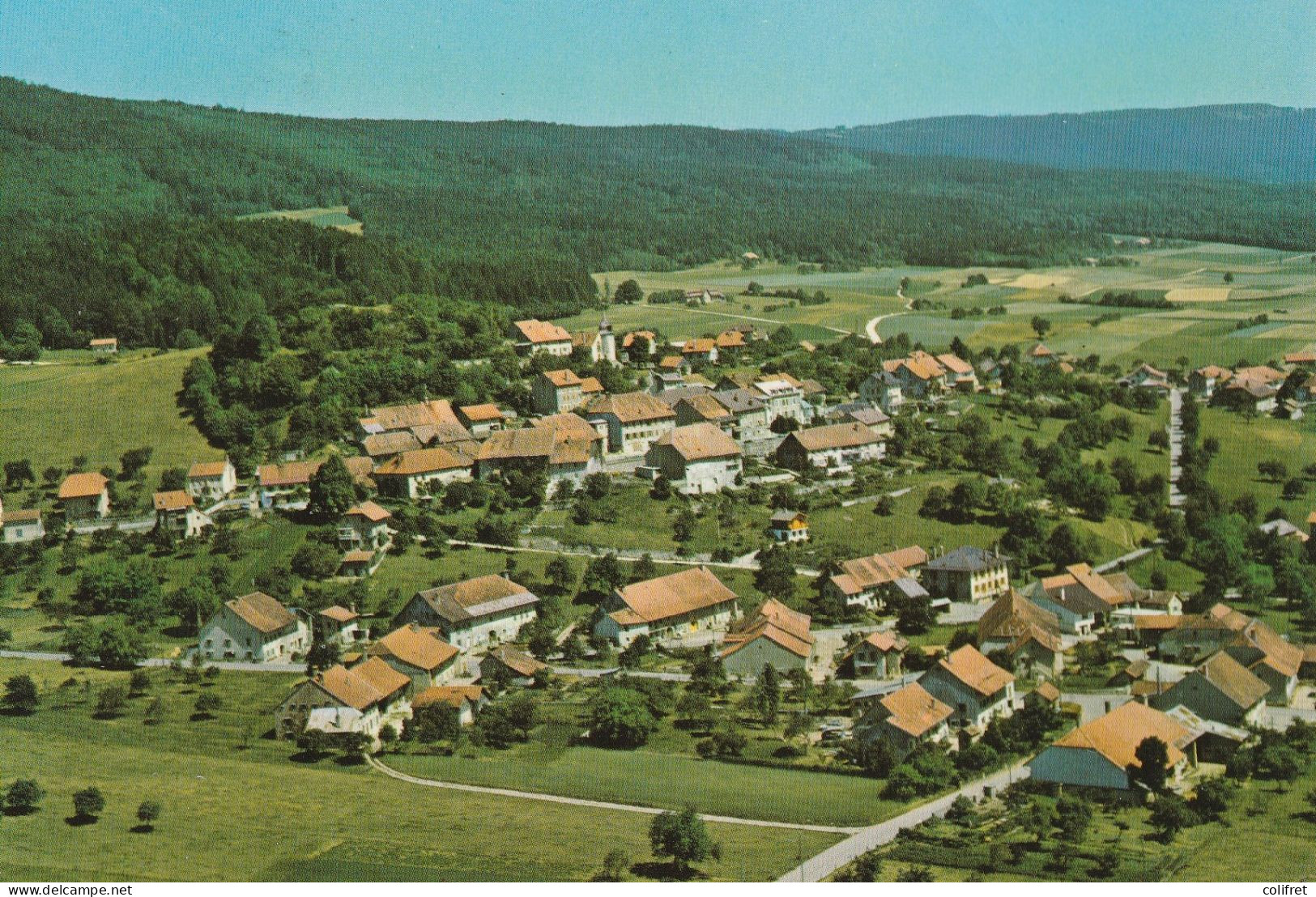 Vaud - Montricher Et Le Jura  -  Vue Aérienne - Montricher