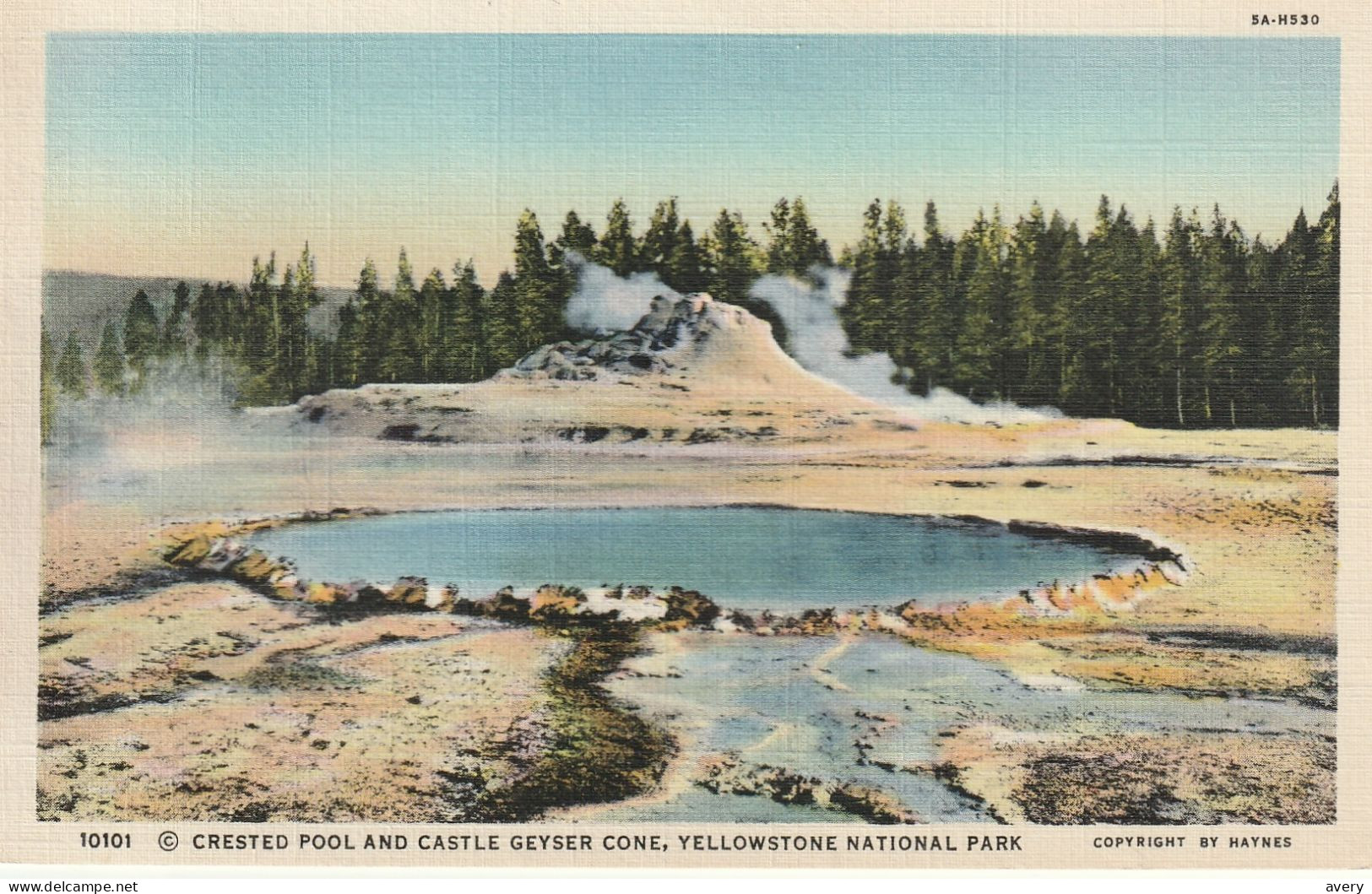 Crested Pool And Castle Geysey Cone, Yellowstone National Park, Wyoming - Yellowstone