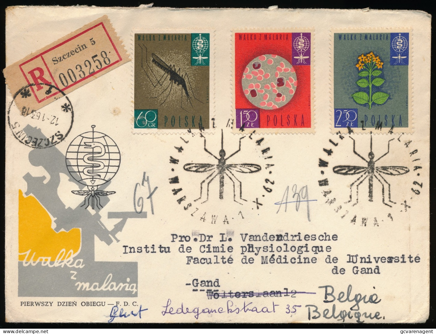 COVER RECOMMANDE 63 SZCECIN TO GAND BELGIE  2 SCANS - Brieven En Documenten