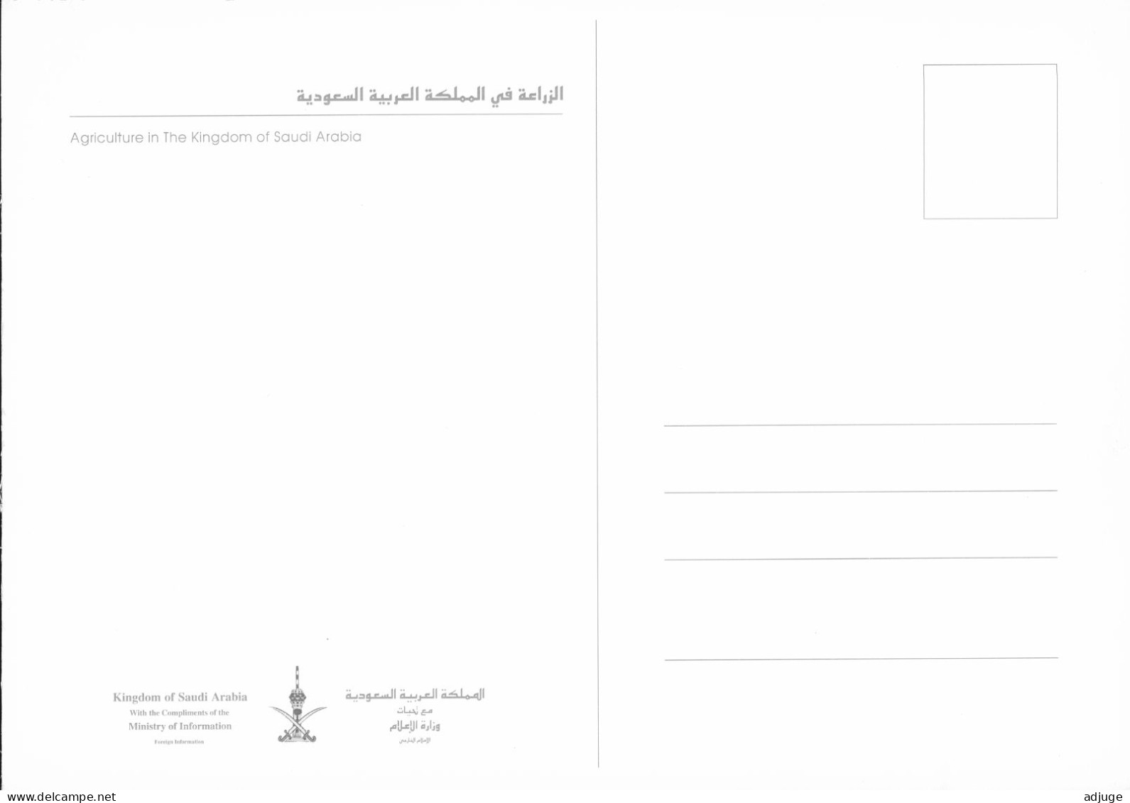 CPM- Arabie Saoudite - Agriculture Au Royame D'Arabie Saoudite- Format 17x12cm - SUP *2 Scans - Arabie Saoudite