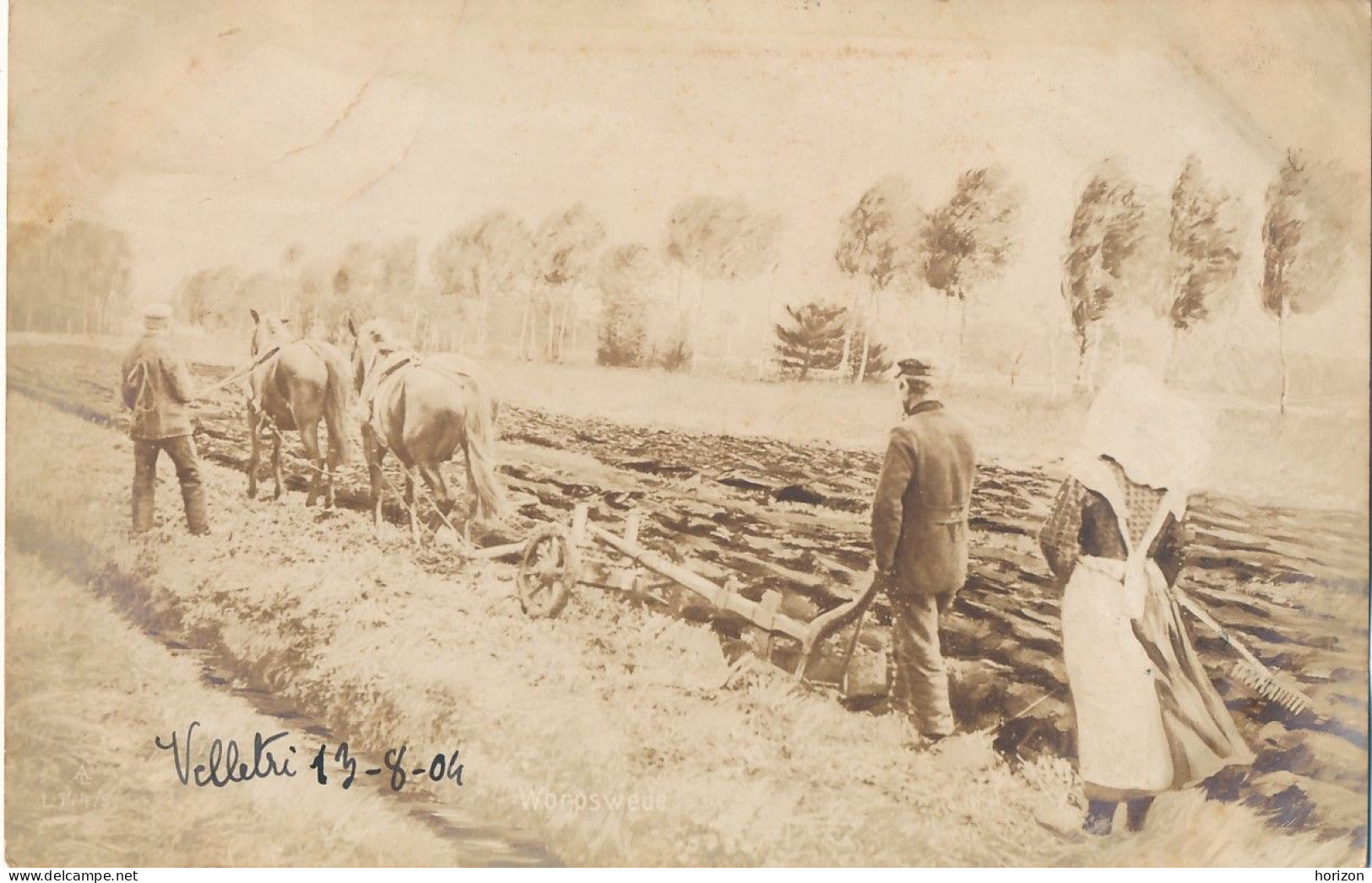 2f.852  VELLETRI - Cartolina Fotografica - 1904 - Velletri