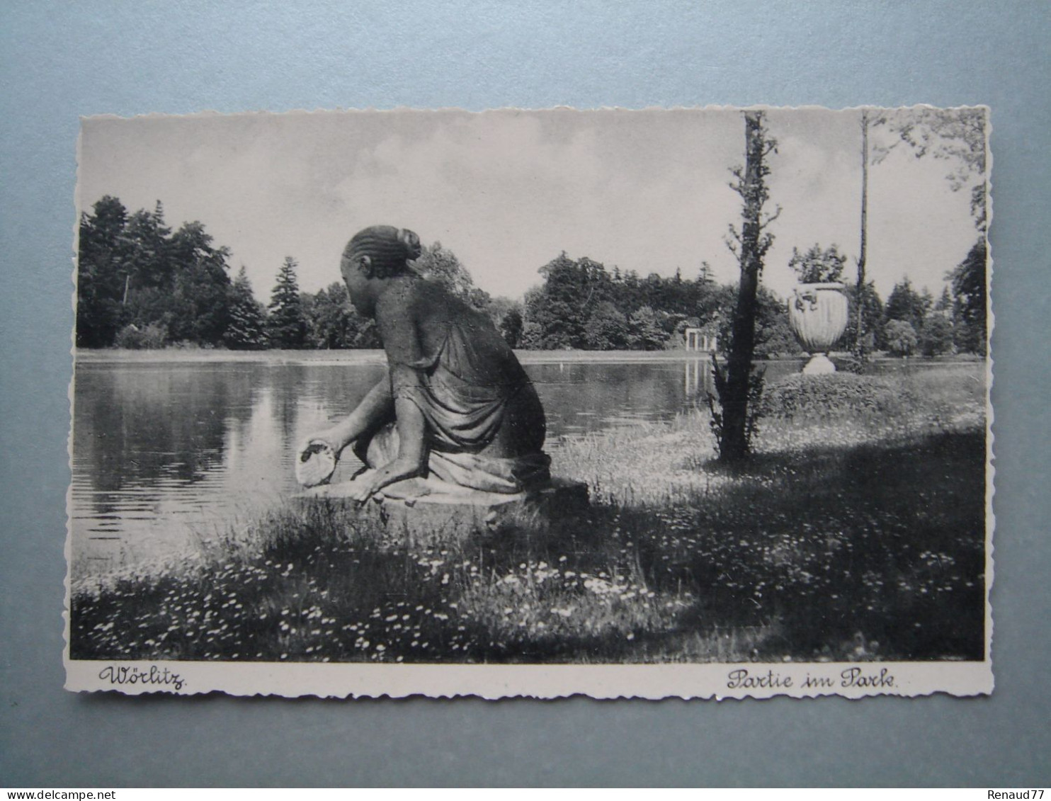 Wörlitz - Partie Im Park - Wörlitz