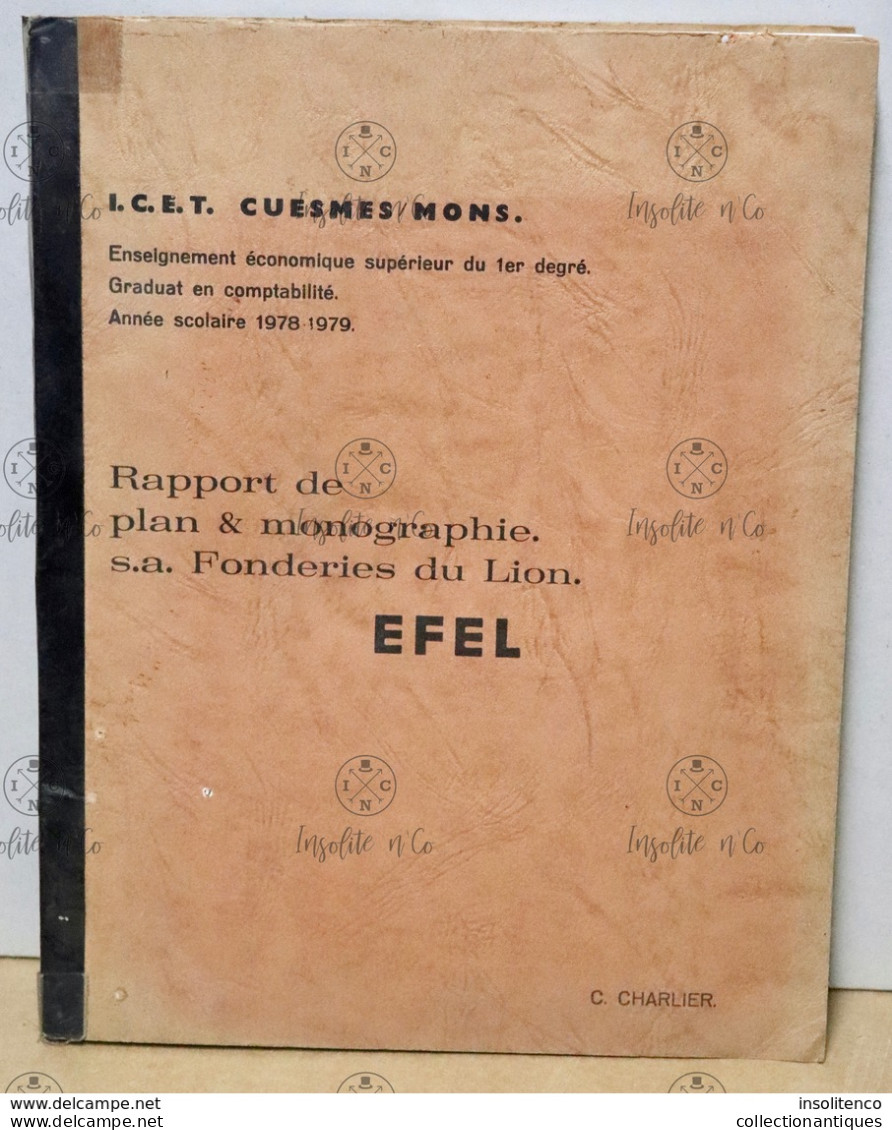 Rapport De Plan & Monographie S.A. Fonderies Du Lion Graduat En Comptabilité Année 1978-1979 ICET Mons 112 Pages - Management