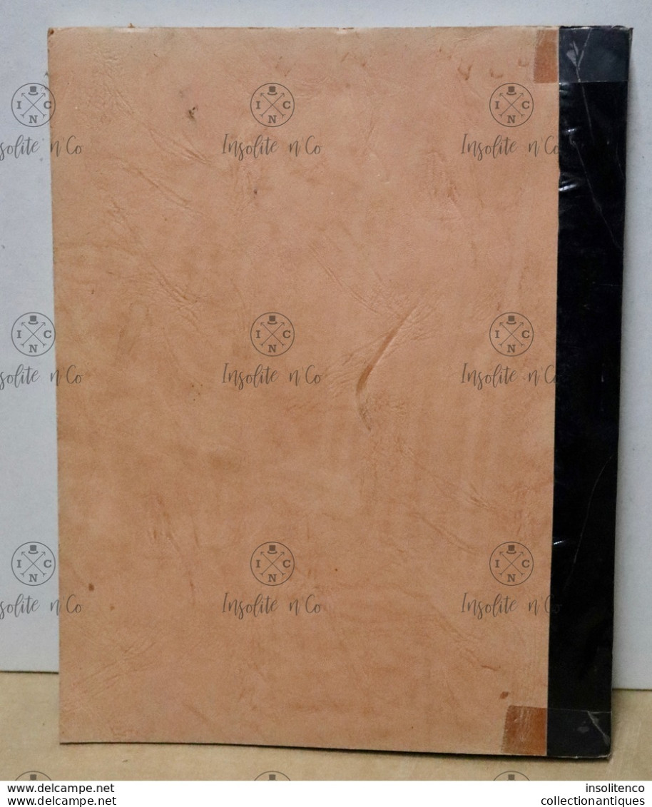 Rapport De Plan & Monographie S.A. Fonderies Du Lion Graduat En Comptabilité Année 1978-1979 ICET Mons 112 Pages - Boekhouding & Beheer