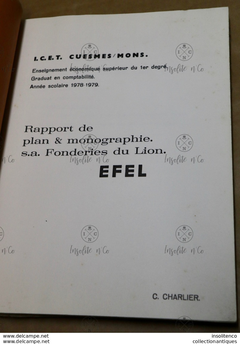 Rapport De Plan & Monographie S.A. Fonderies Du Lion Graduat En Comptabilité Année 1978-1979 ICET Mons 112 Pages - Boekhouding & Beheer