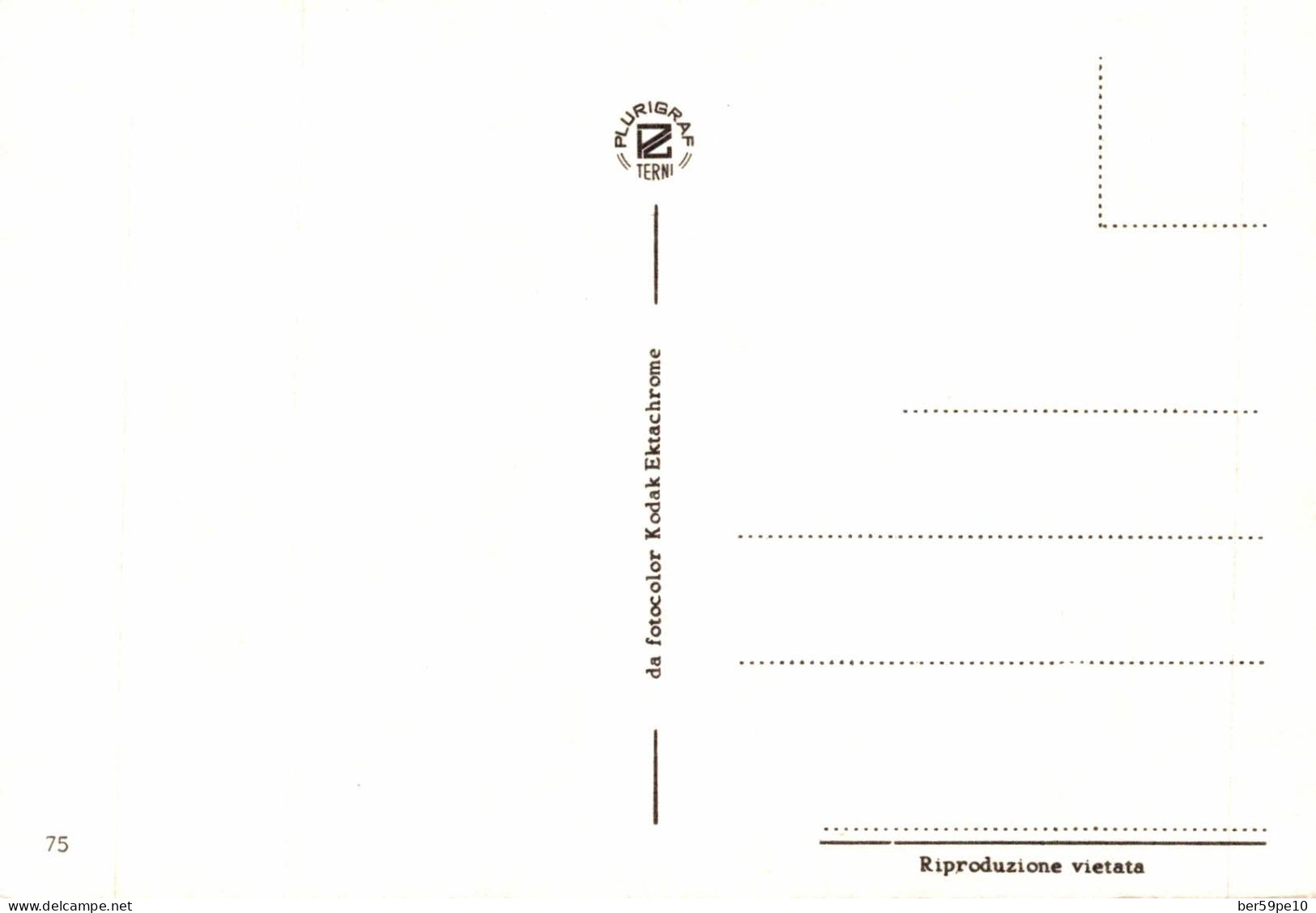 ITALIE CASTELGANDOLFO MULTI-VUES - Tarjetas Panorámicas