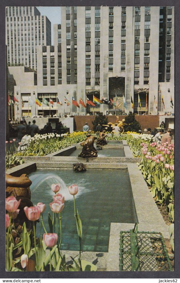 124089/ NEW YORK CITY, The Channel Gardens, Rockefeller Center - Parks & Gardens