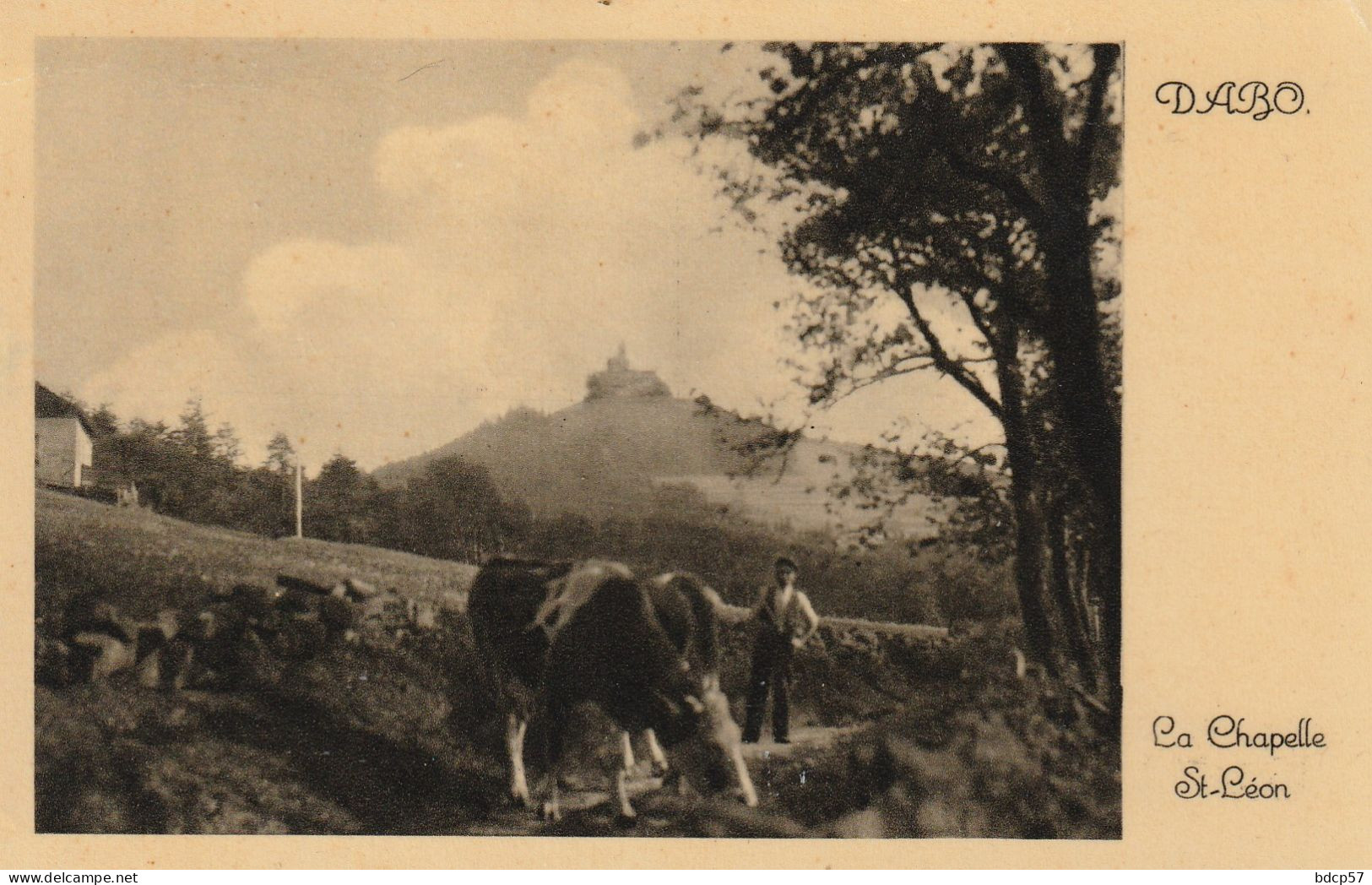 57 - Moselle - DABO - La Chapelle Saint-Lèon - Format 9 X 14 - Hôtel Bour - Dabo