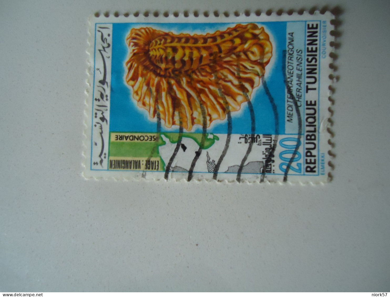 TUNISIA  USED  STAMPS  ANIMALS  FOSSILS - Fossiles