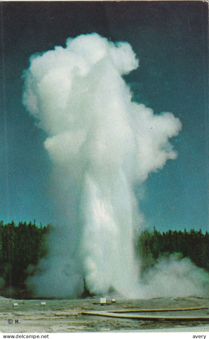 Giant Geyser, Upper Geyser Basin, Yellowstone National Park, Wyoming - Yellowstone