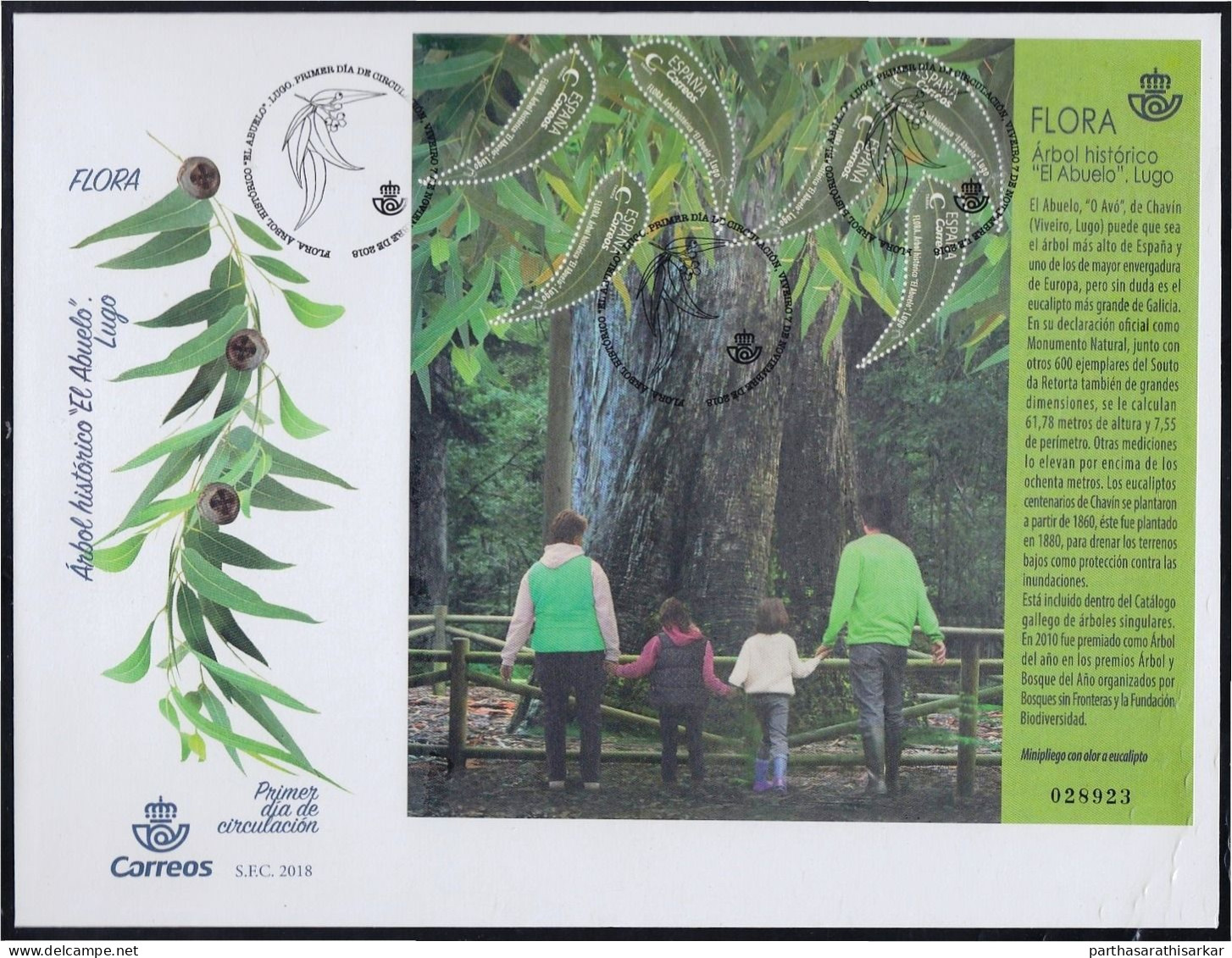 SPAIN 2018 FLORA HISTORIC TREE EL ABUELO GARDEN HIGH FACE VALUE MINIATURE SHEET MS FIRST DAY COVER FDC USED - 2018