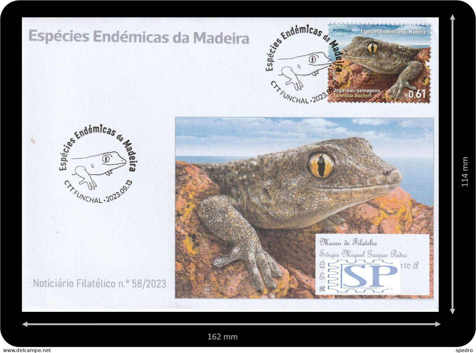 Portugal 2023 Carimbo Comemorativo Espécies Endémicas Da Madeira Endemic Species Fauna Gecko Osga - Postmark Collection