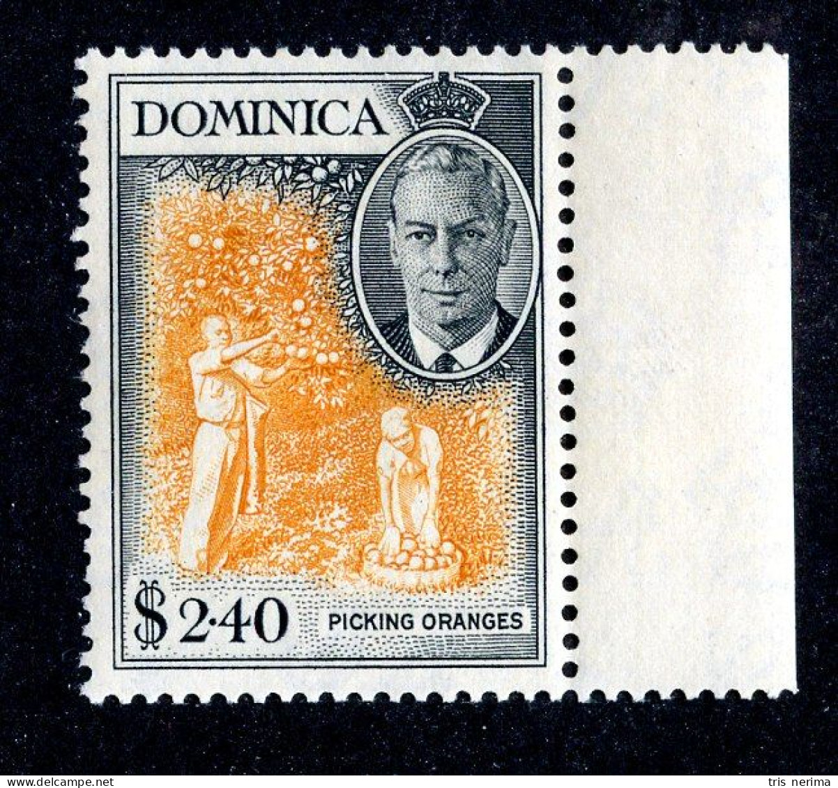 7694 BCx 1951 Scott # 136 Mnh** Cat.$30.00 (offers Welcome) - Dominica (...-1978)