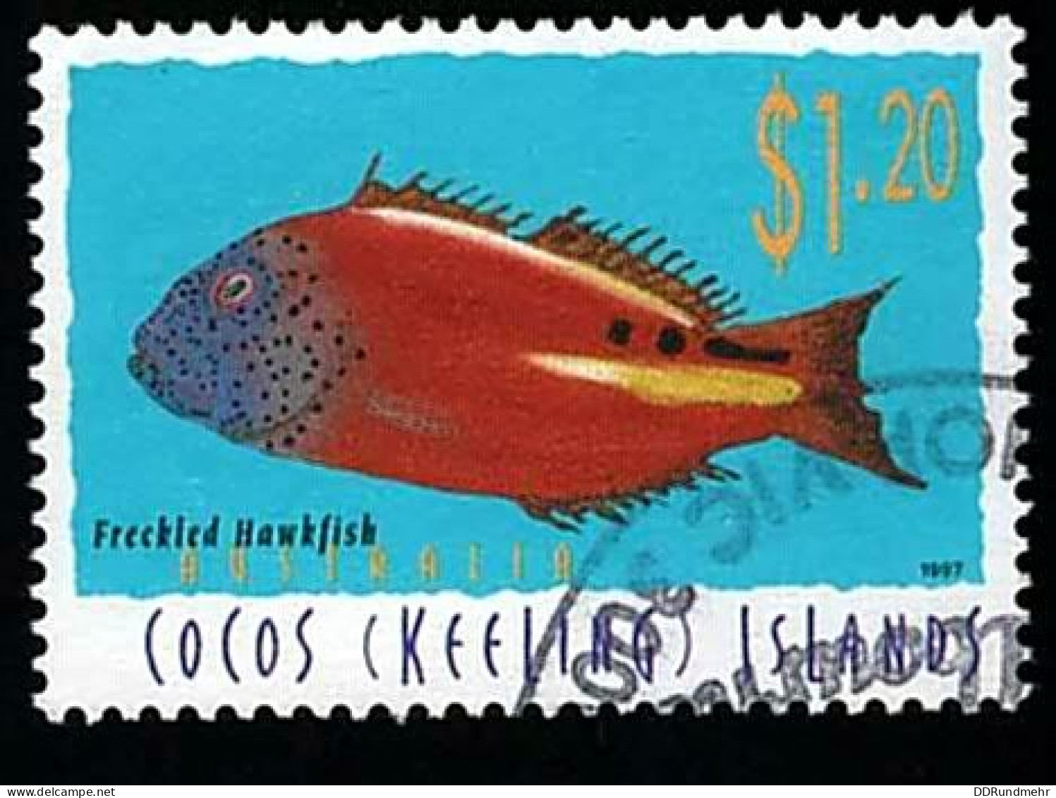 1997 Hawkfish  Michel CC 361 Stamp Number CC 314 Yvert Et Tellier CC 342 Stanley Gibbons CC 342 Used - Cocos (Keeling) Islands