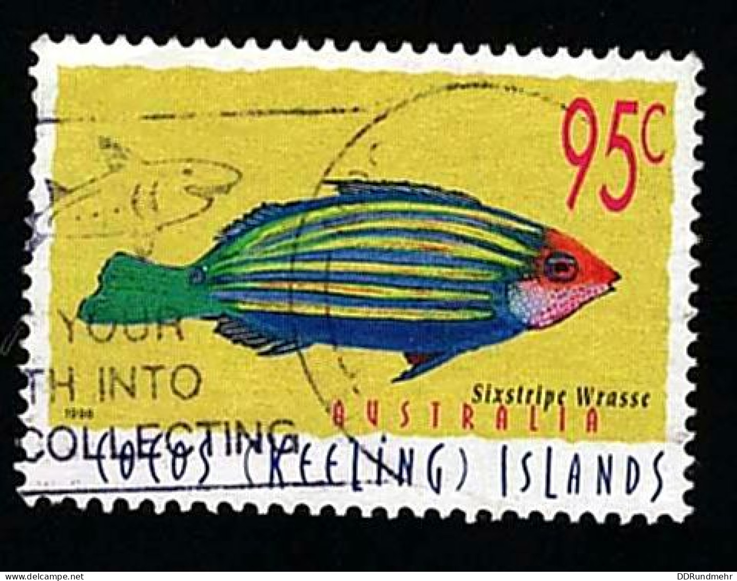 1998 Wrasse Michel CC 368 Stamp Number CC 328 Yvert Et Tellier CC 349 Stanley Gibbons CC 339a Used - Cocos (Keeling) Islands