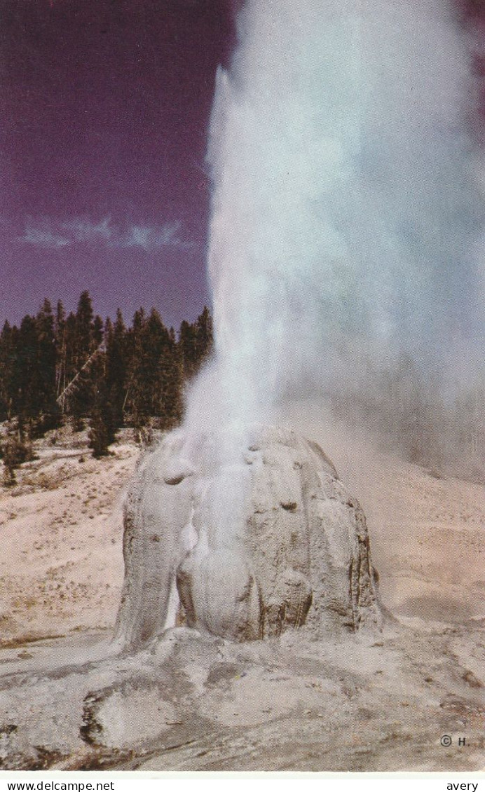 Lone Star Geyser, Yellowstone National Park, Wyoming Near The Grand Loop Highway Between Old Faithful And West Thumb - Yellowstone